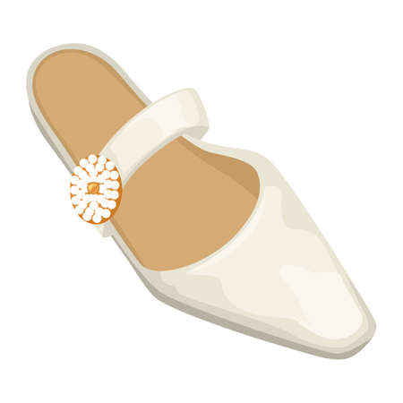 Elegant women shoes, fashionable footwear ladies fashion vectorのイラスト素材