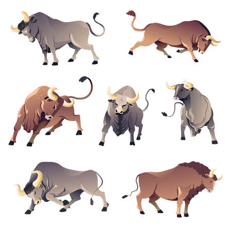 Bulls or buffalo, aggressive wild animals, ox corridaのイラスト素材