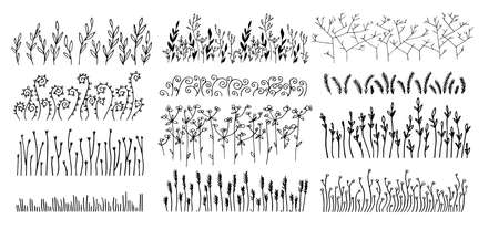 Floral ornaments and decorations with leaves and flowersのイラスト素材