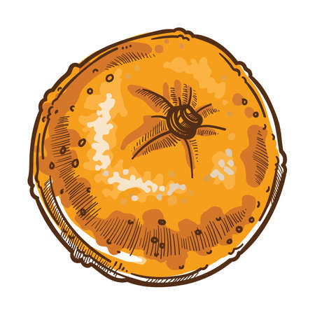 Mandarin or tangerine tropic or exotic ripe fruitのイラスト素材