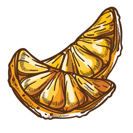 Juicy mandarin slice, healthy eating tangerine or clementineのイラスト素材