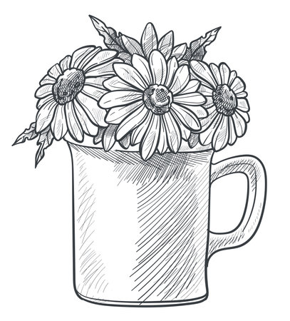 Camomiles in cup, rustic florist compositionsのイラスト素材