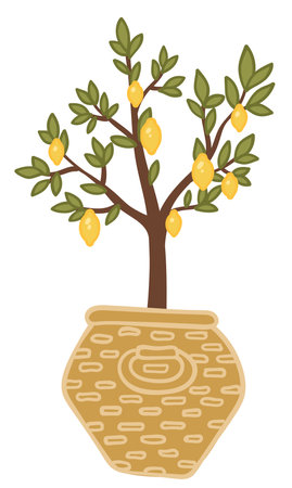 Lemon tree with leaves, potted plant for homeのイラスト素材
