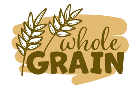 Agriculture wheat Logo Template vector icon designのイラスト素材