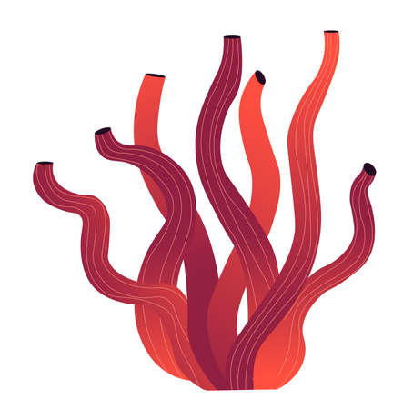 Seaweed with long leaves, grass growing underwaterのイラスト素材