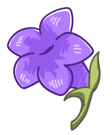 Violet lavender flower, blooming flora decorationのイラスト素材