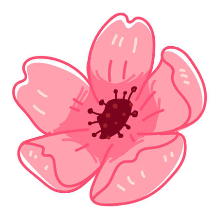 Sakura blossom, flourishing pink flora vectorのイラスト素材