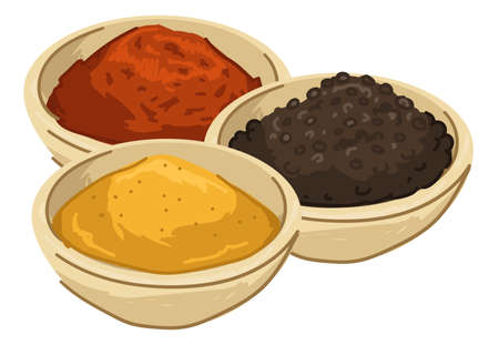 Asian spices and seasoning, food and meal powderのイラスト素材