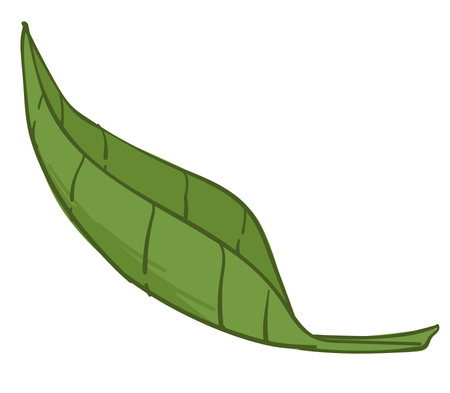 Green foliage of flora, spring or summer revivalのイラスト素材