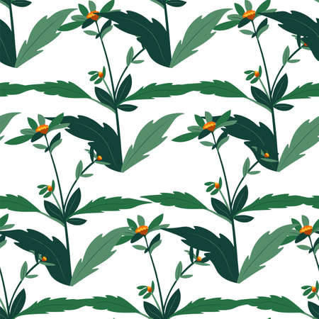 Floral botany with leaves and blossom patternのイラスト素材