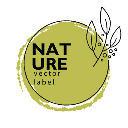 Nature and botany, herbs and organic alternativeのイラスト素材