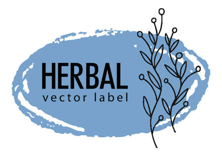 Herbal label, banner with foliage and botany plantのイラスト素材