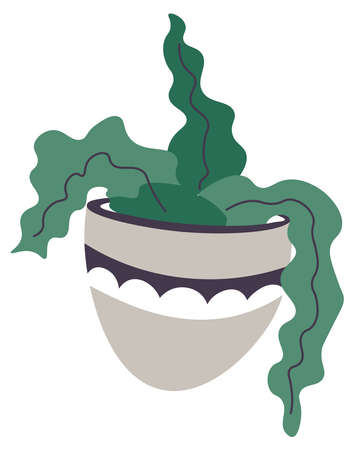 Potted plant with leaves, flower decor interiorのイラスト素材