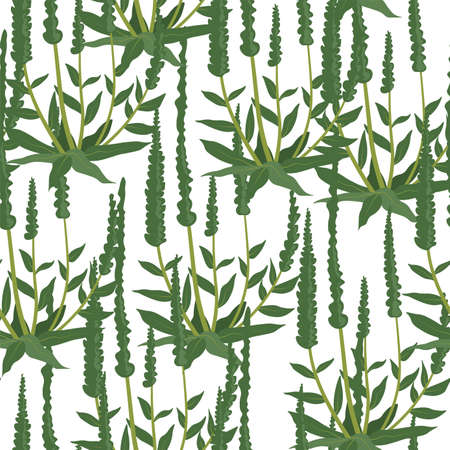 Foliage and greenery of plants, flora patternのイラスト素材