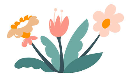 Flower bouquet in bloom, blossom of spring floraのイラスト素材