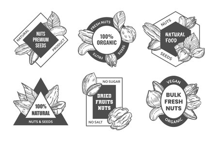 Fresh nuts logo design, vector illutrationのイラスト素材