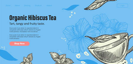 Organic hibiscus tea, natural and healthy drinkのイラスト素材