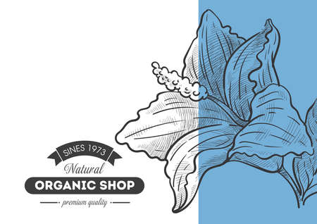 Organic shop, quality products in store, floraのイラスト素材