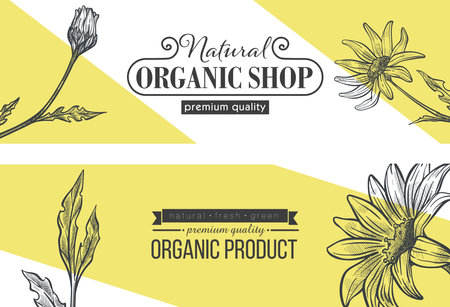 Organic shop advertisement banners, store adsのイラスト素材