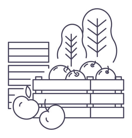 Gathered apples in basket, harvesting season farmのイラスト素材