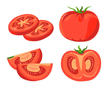 Organic ripe tomato sliced vegetable vector setのイラスト素材