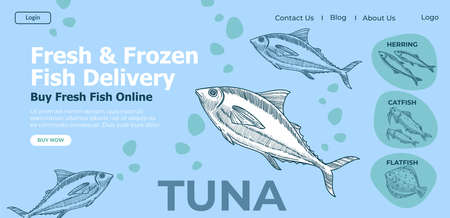 Fresh and frozen fish delivery, buy tuna onlineのイラスト素材