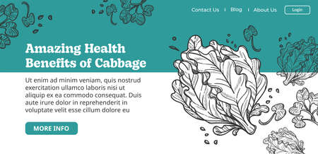 Amazing health benefits of cabbage website pageのイラスト素材
