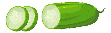Fresh cucumber sliced in pieces, cooking foodのイラスト素材