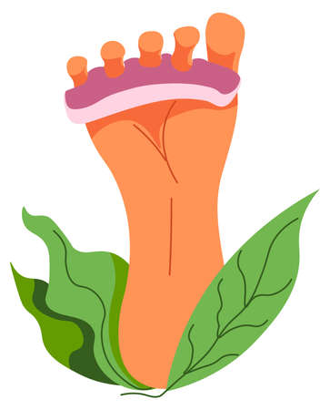 Pedicure in spa salon and toenails treatmentsのイラスト素材