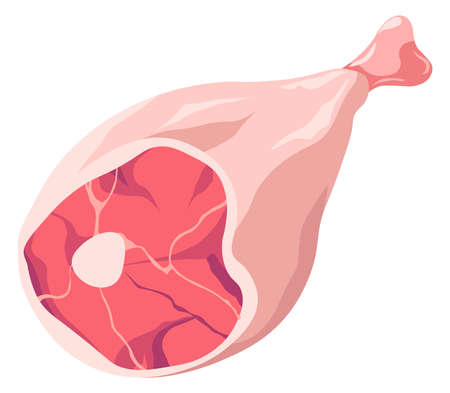 Whole pork leg, cut meat butchery shop vectorのイラスト素材