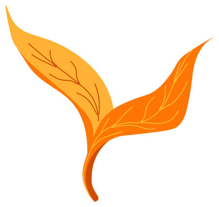 Spring leaves, autumn flora and foliage decorのイラスト素材