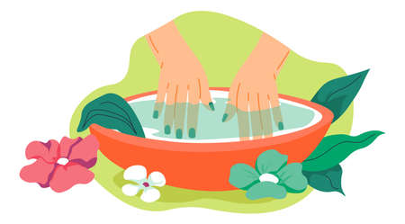 Hands soaking in bowl aromatic water, spa salonのイラスト素材