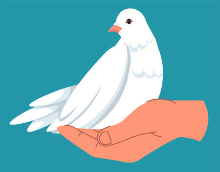 Dove in hand, pigeon symbol peace and tranquilityのイラスト素材