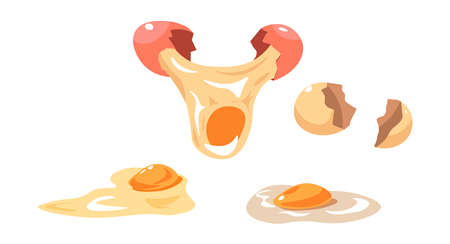 Breaking chicken egg, yolk and whites, vectorのイラスト素材