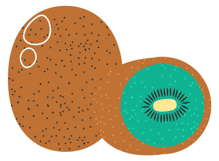 Kiwi tropical exotic ripe fruit, healthy eatingのイラスト素材
