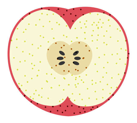 Natural and organic apple, fruits cut in halfのイラスト素材
