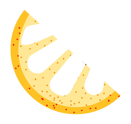 Slice of lemon, sour ingredient for cooking vectorのイラスト素材