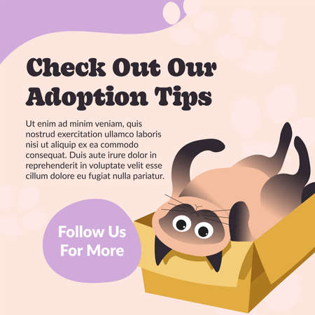 Check out our adoption tips, follow us for more