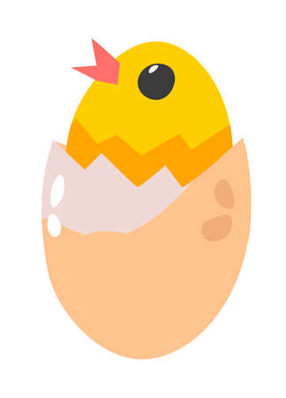 Chicken in eggshell, small chick newborn animalのイラスト素材