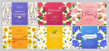 Plant based body soap label design for packageのイラスト素材