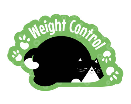 Weight control for your cat, pet care in vetsのイラスト素材