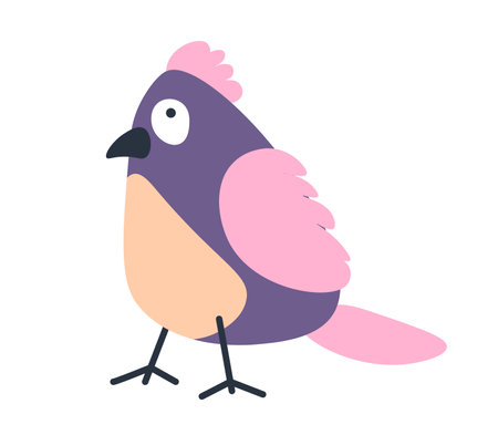 Avian animal with colorful plumage portrait vectorのイラスト素材