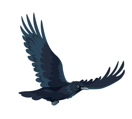 Large black bird, crow or raven in motion vectorのイラスト素材