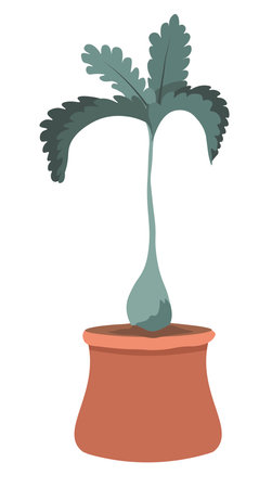 Flower in pot, plant with large leaves foliageのイラスト素材