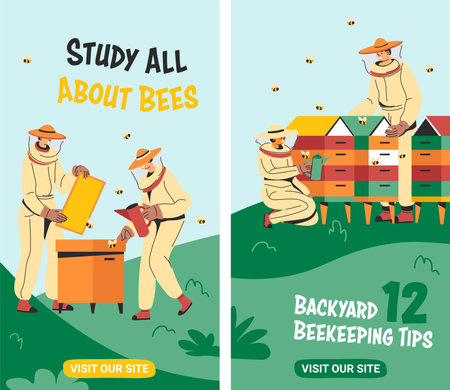 Study all about bees, backyard beekeeping tipsのイラスト素材