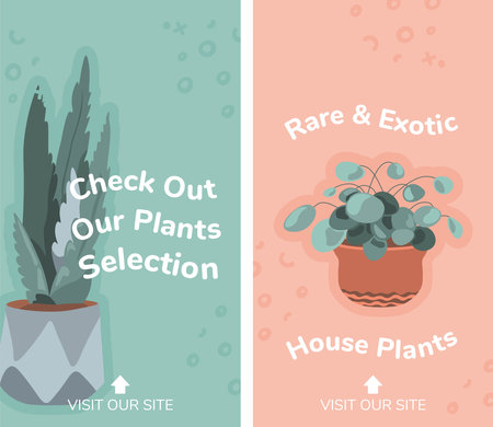 Rare and exotic house plants, check out selectionのイラスト素材