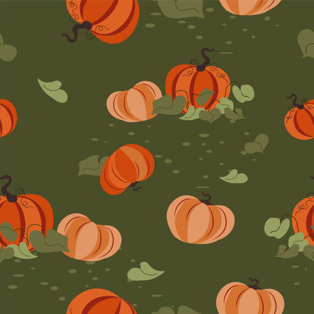 Growing pumpkins on field, agriculture patternのイラスト素材
