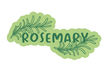 Rosemary Sprig Culinary Vector Graphicのイラスト素材