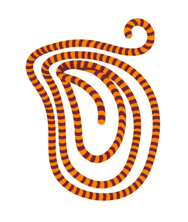 Orange Striped Coiled Snake vectorのイラスト素材
