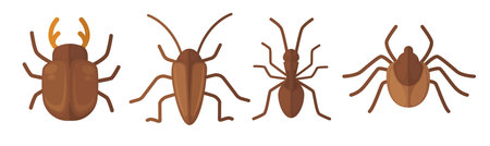 Different Beetle Species Set vector
